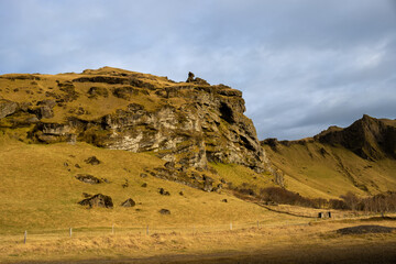 Rock with a grass and moss in the autumn, Iceland
