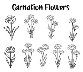 Carnation Flowers, Birth Flowers , Flower Bouquets Clipart, Wildflowers Floral Vectors