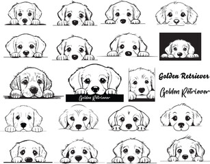 Peeking Golden Retriever Puppy, Peeking Golden Retriever Clipart, Golden Retriever Head, Dog Paws Breed Pet illustrations