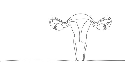 Woman reproductive system, one line continuous. Line art outline vector illustration of organs