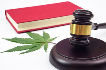 Focus of judge hammer, blurred cannabis leaf or marijuana leaf and book placed on the back. Law, judiciary concept.