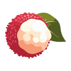 lychee fruit 2d vector