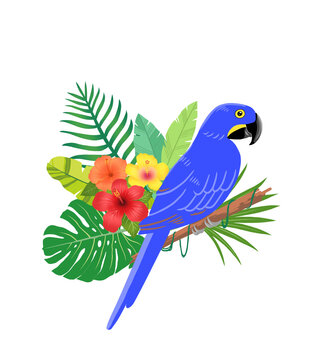 Hyacinth macaw parrot and tropical plant illustration