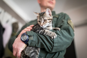 Little gray cat in hands of obscured military man in olive uniform at home