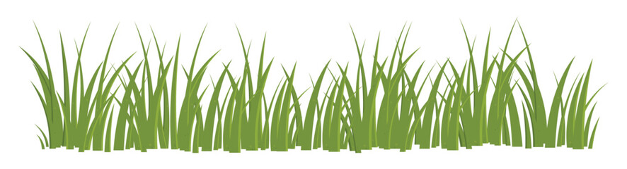 Cartoon grass leaves collection vector illustration isolated on white