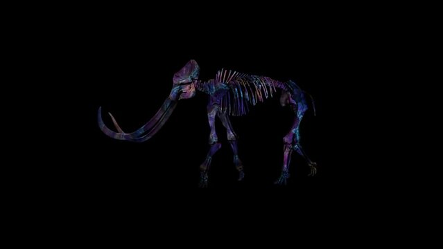 Skeleton of an elephant walking with black background and neon lights fall on it 