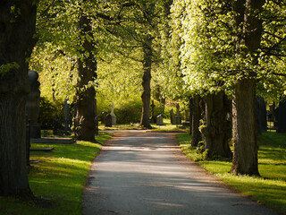 alley in the park