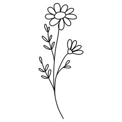 Line Art Floral 