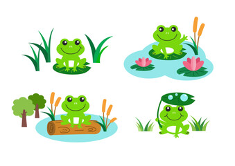 set of frogs