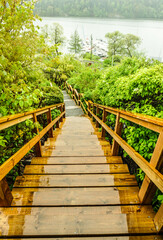 Obraz premium wooden bridge over the river