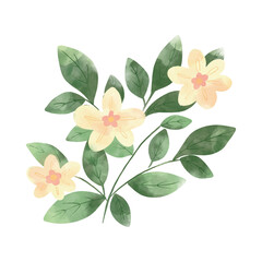 hand drawn bouquet with yellow flowers and leaves, watercolour flower with texture