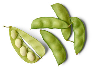 pea pods with open pod and visible immature seeds, type of legume that is widely cultivated for its...