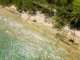 Top down aerial view of a deserted tropical beach fringed by palm trees (Khao Lak, Thailand)