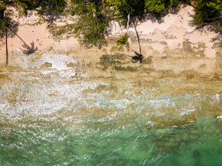 Top down aerial view of a deserted tropical beach fringed by palm trees (Khao Lak, Thailand)
