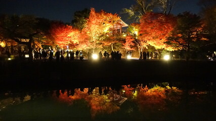 夜の京都の紅葉