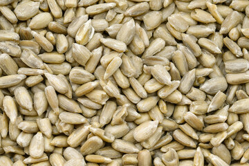 Close up of sunflower seeds. Background.