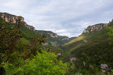 Fototapeta na wymiar gorges de la Jonte, Occitanie, Lozère, 48, Parc naturel régional des Grands Causses, France