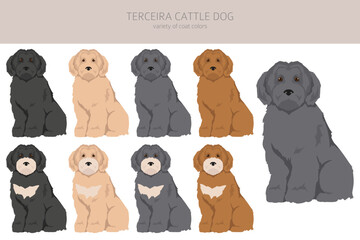 Terceira Cattle dog clipart. Different poses, coat colors set