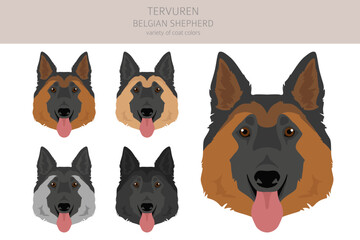 Belgian Tervuren clipart. Different poses, coat colors set
