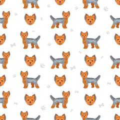 Yorkshire Terrier seamless pattern. Different poses, coat colors set