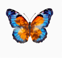 Butterfly in Flight on Transparent Background, generative AI