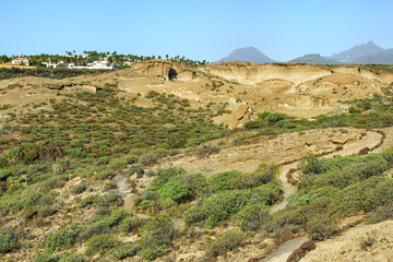 Fototapeta na wymiar Environmental Reserve San Blas, San Miguel de Abona, Tenerife, Canary Islands, Spain
