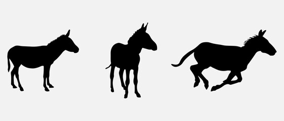 isolated black silhouette of a donkey , vector collection