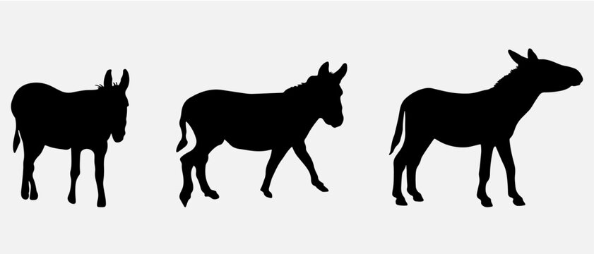 isolated black silhouette of a donkey , vector collection