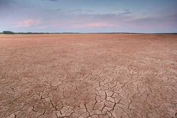 Cracked earth, desertification process, La Pampa Province, Patagonia, Argentina. - obrazy, fototapety, plakaty