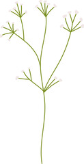 flower and grass botanical illustration and flat design.
