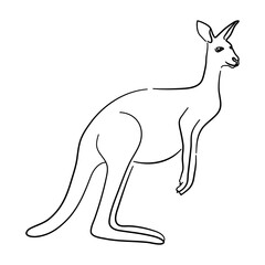 Kangaroo in doodle style. Icons sketch hand made. Vector.