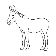 Donkey in doodle style. Icons sketch hand made. Vector.