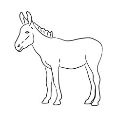 Donkey in doodle style. Icons sketch hand made. Vector.