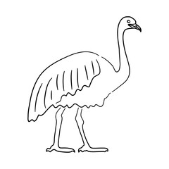 Ostrich in doodle style. Icons sketch hand made. Vector.