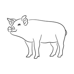 Piggy in doodle style. Icons sketch hand made. Vector.