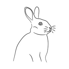 Rabbit in doodle style. Icons sketch hand made. Vector.