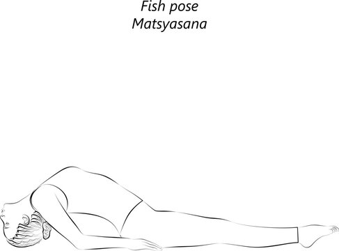 Sketch of young woman practicing yoga, doing Fish pose. Matsyasana. Supine and Backbend. Beginner. Vector illustration isolated on transparent background.