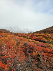 valle con colores rojos otoñales