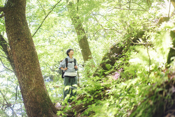 Naklejka na ściany i meble 新緑の山を歩く若い日本人女性