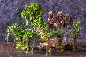 Jars with bunches of green fresh organic garden herbs stand on the table against a dark background....
