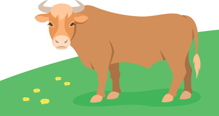 Domestic brown bull grazing on a green pasture. Farm animal. Simple flat cartoon illustration. Spring meadow background