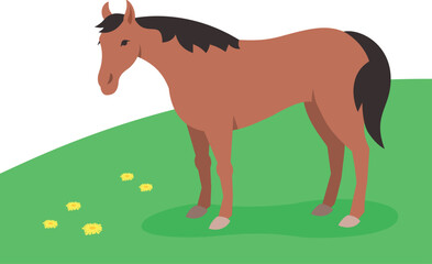 Chestnut horse standing on the green grass. Domestic farm animal grazing on a spring pasture. Flat cartoon illustration.