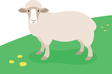Sheep standing in the green meadow. Domestic farm animal grazing on spring pasture. Flat cartoon illustration.