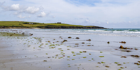 Sandy beach on a summer day. Seaside landscape of Ireland. Seaweed on the sandy shore after low tide. Inchydoney Beach.