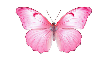 Obraz premium Beautiful pink butterfly isolated on a white background. Generative AI Illustration 