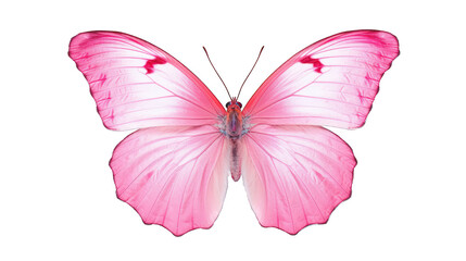 Beautiful pink butterfly isolated on a white background. Generative AI Illustration	