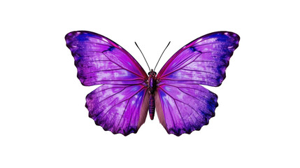 Beautiful purple butterfly isolated on a white background. Generative AI Illustration	