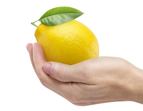 Hand holding delicious ripe lemon fruit, cut out
