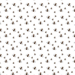Background with flies for decoration.