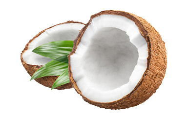 Two halves of delicious coconut with green leaves, cut out